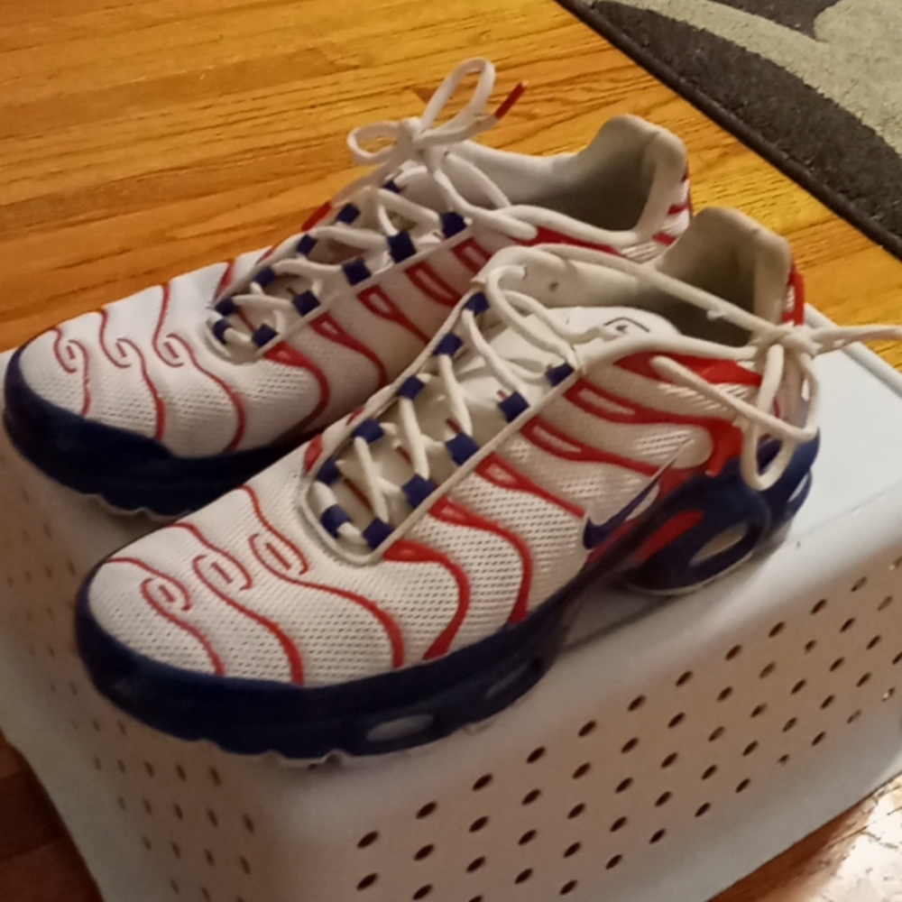 Nike air max shoes
